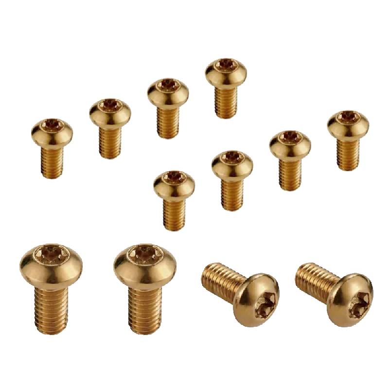 Gold Disc Rotor Bolts T25 Pack of 12