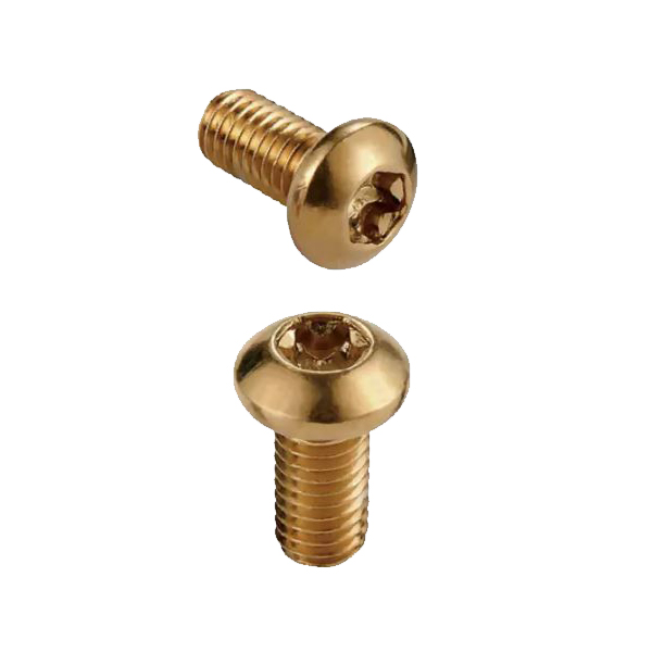 Gold Disc Rotor Bolts T25 Pack of 12