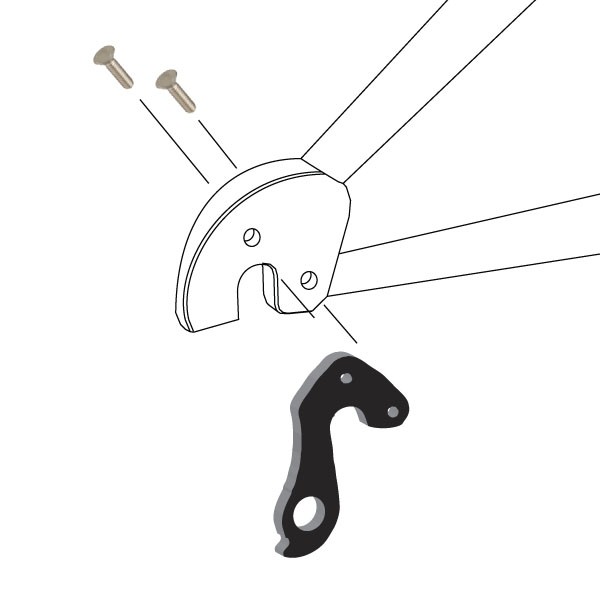 Derailleur Hanger - Focus